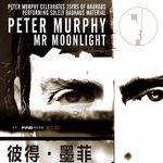 【我的音乐生活】哥特教父：Peter Murphy