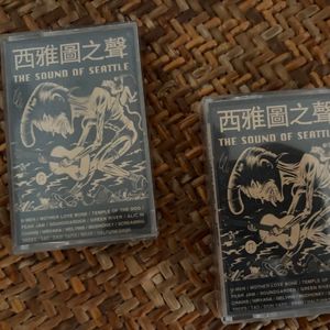 【有待唱片店】灿烂涅槃
