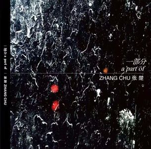 如何成为张楚的一部分