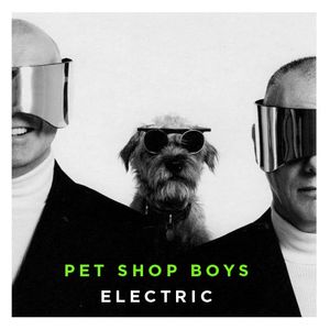 宠物店男孩第五集