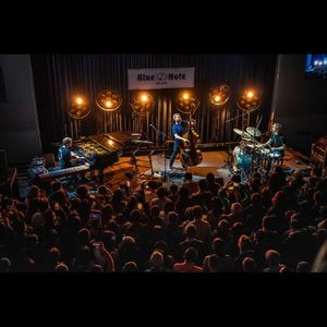 人人都爱走走企鹅 二