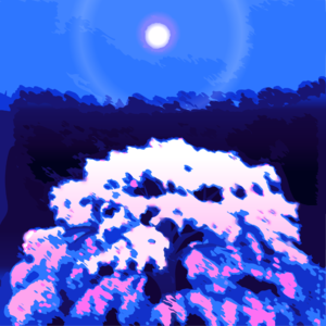 春日小聊,大肆赏樱