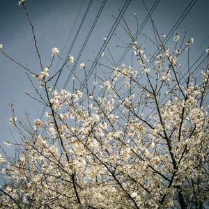 35. 疫情封城：在「疼痛难免」中纪录城市的诗意