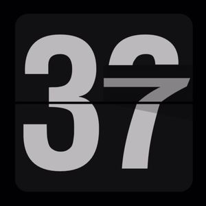 32. 三十六岁这一年：困顿与任性