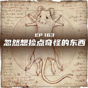 EP163 最近忽然想捡点奇怪的东西(狗头)