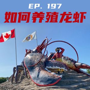 EP197 如何养殖龙虾