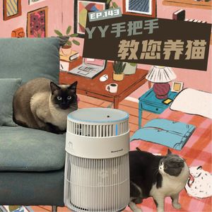 EP143 YY手把手教您养猫！