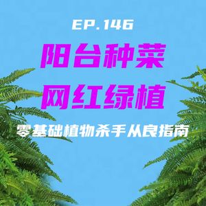 EP146 阳台种菜，网红绿植：零基础植物杀手从良指南