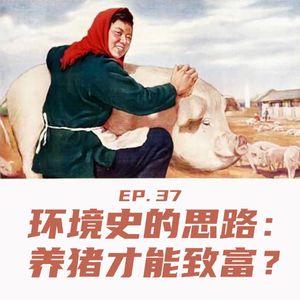 EP37 环境史的思路:养猪才能致富?