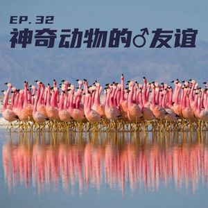 EP32 神奇动物的♂友谊