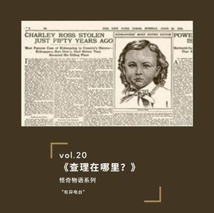 vol.20 《查理在哪里？》——怪奇物语系列