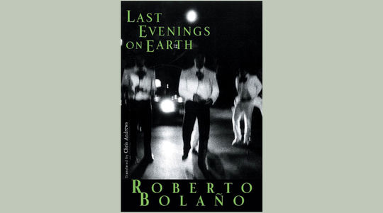 10-亨利·西蒙·勒普兰斯（罗贝托·波拉尼奥）