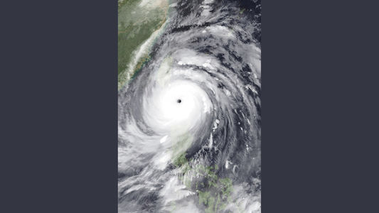 92-我爱温诺娜（叶言都）