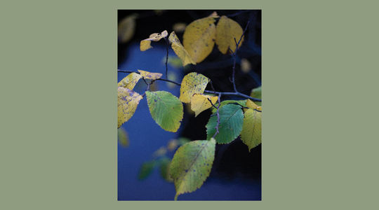 37-夏日里的最后一天（伊恩·麦克尤恩）