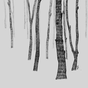 Vol.31在肉食者的世界里,她决定成为一棵树|韩江《素食者》