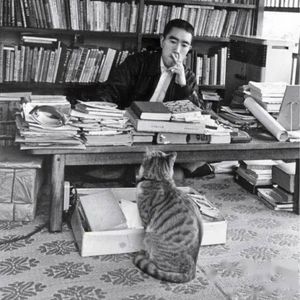 63.从造神到塌房,三岛由纪夫与“丰饶之海”四部曲的落幕