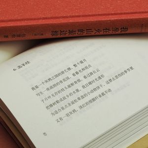 Vol.22对话包慧怡：找路的人固然众多，也有人不以迷宫为恐怖