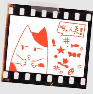 Vol.12一只猫如何拆散一个家，和喵星人的四角恋|谷崎润一郎《猫与庄造与两个女人》