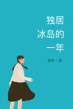 VOL.004 给熟悉的陌生人们 - 《独居冰岛的一年》