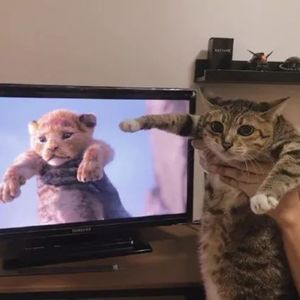 请回答，磁带里的90年代（2）：啊，我们曾经多迷迪士尼啊