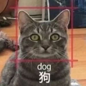 【迷惑】我试过了，找男人真的不如养条狗