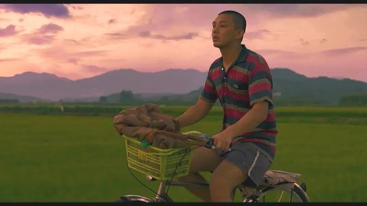 2020年度草单：兵荒马乱的一年，还好有这些影视综