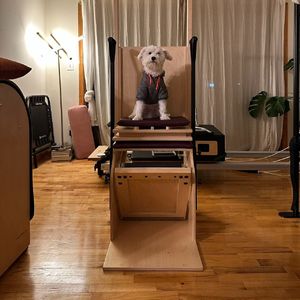 创造职业101 | Yue：职业创造是感到害怕，依然把步子迈出去的过程