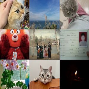 DearCouragers | 越长大越孤单？聊聊成年人的友谊