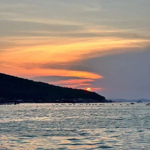 小鱼儿：我是如何跟忽略型自恋伴侣成功离婚的