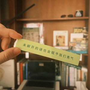 纯纯：小镇女孩如何在动荡的世界中，找到自己的栖息之所