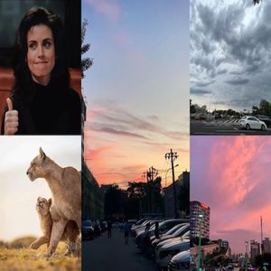 DearCouragers | 疫情下和自己独处，不是一人的孤独