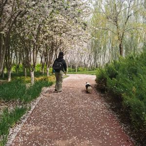 嘿，妈妈 | 当我看到了妈妈内在的小女孩