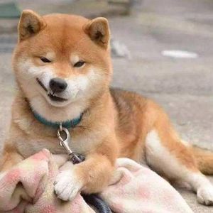 大力：因为容貌焦虑进行微整导致面瘫，我却获得了真正的自信