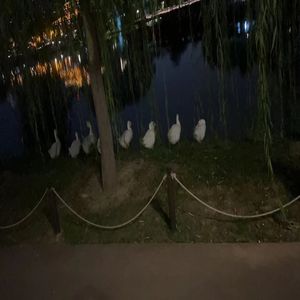 大瑞子：在重男轻女环境下，作为“好学生”的农村女孩是如何叛逃的