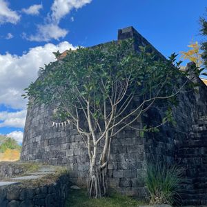 创造职业101 | 丁丁：有毒职场榨取超额情绪价值，一人公司拆除内耗系统