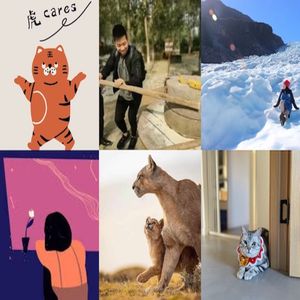 DearCouragers | 光环褪去，回归现实，怎样走向成熟？