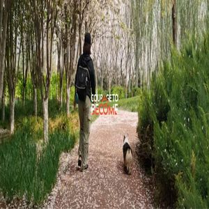 嘿,妈妈 | “如何跟脆弱又焦虑的父亲沟通?”