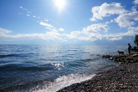 看完《悲伤逆流成河》，想到了一首歌