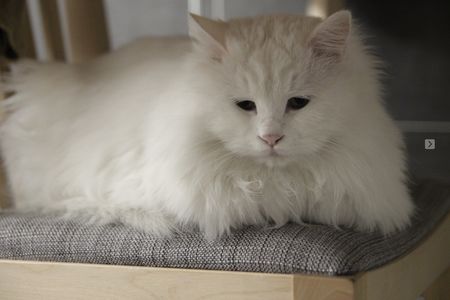 BYM［简单心理］发布会排练