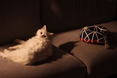 BYM: 我们这代人还在试图证明什么？