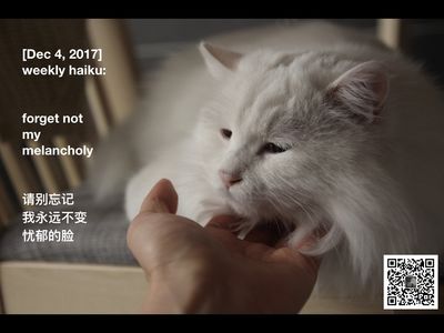 BYM: 我身穿鲜艳的制服，怎能开口求救