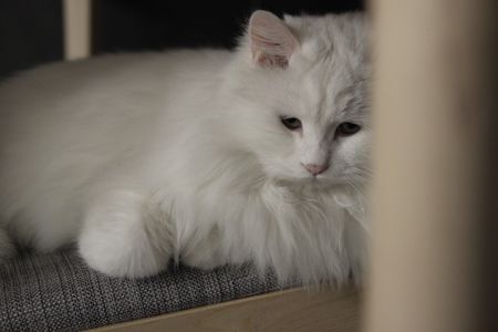 BYM: 动真情的魔鬼，和闯祸的文艺女青年