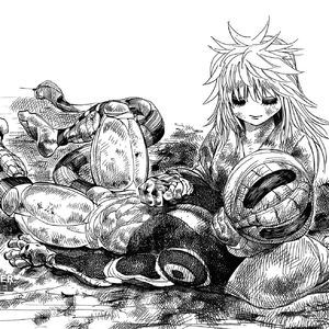 （开头有重要通知）全职猎人vol.11 | 终结 X 小麦 X 梅路艾姆