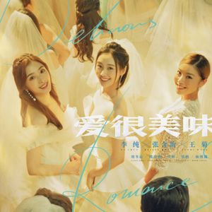 《爱很美味》30+姐姐们的生活,三分甜七分涩,鸡飞狗跳生龙活虎