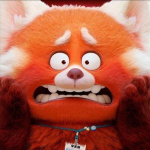 《青春变形记》 每个人的长大，都是一次小熊猫存活战