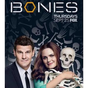 识骨寻踪vol.2|人生可能不丰富,但死亡可以很“多彩”,下饭神剧它又来了!