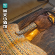《Geek时间》-法老的诅咒！碰木乃伊的，都没好下场？