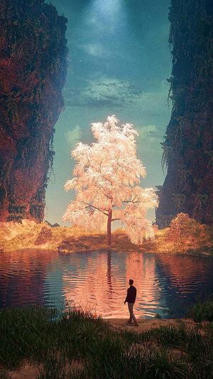 VOL.52 有些匮乏,靠金钱不能填满,但这些可以?