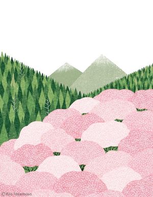 NO.12 姑娘，请你至少自私到28岁吧!