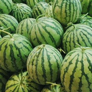 11：爸妈在飘窗前聊天的剪影，给了我修复好自己的原动力